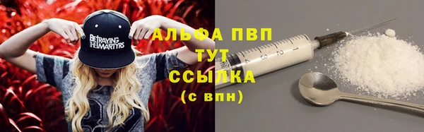 ECSTASY Костерёво