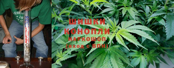 ECSTASY Костерёво