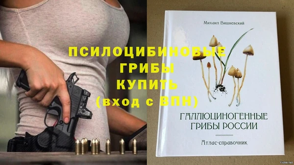 ECSTASY Костерёво
