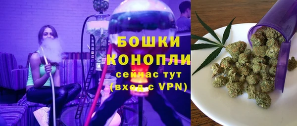 ECSTASY Костерёво