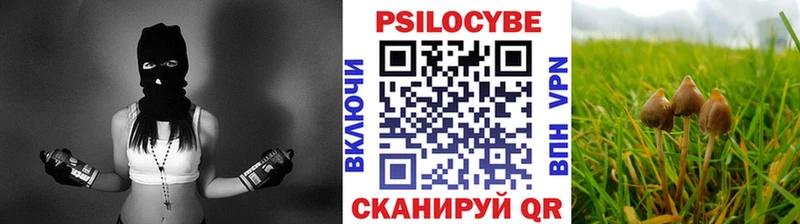 Галлюциногенные грибы мицелий  Котово 